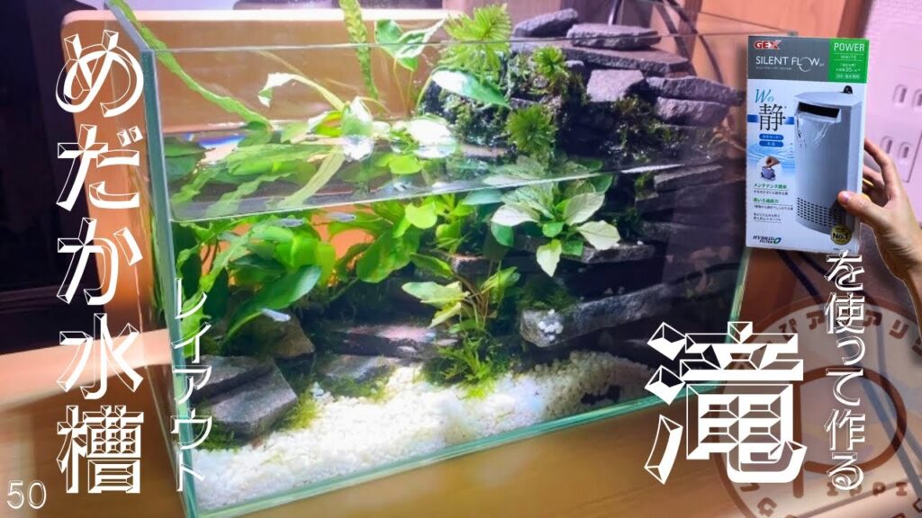 20240914-aquarium-