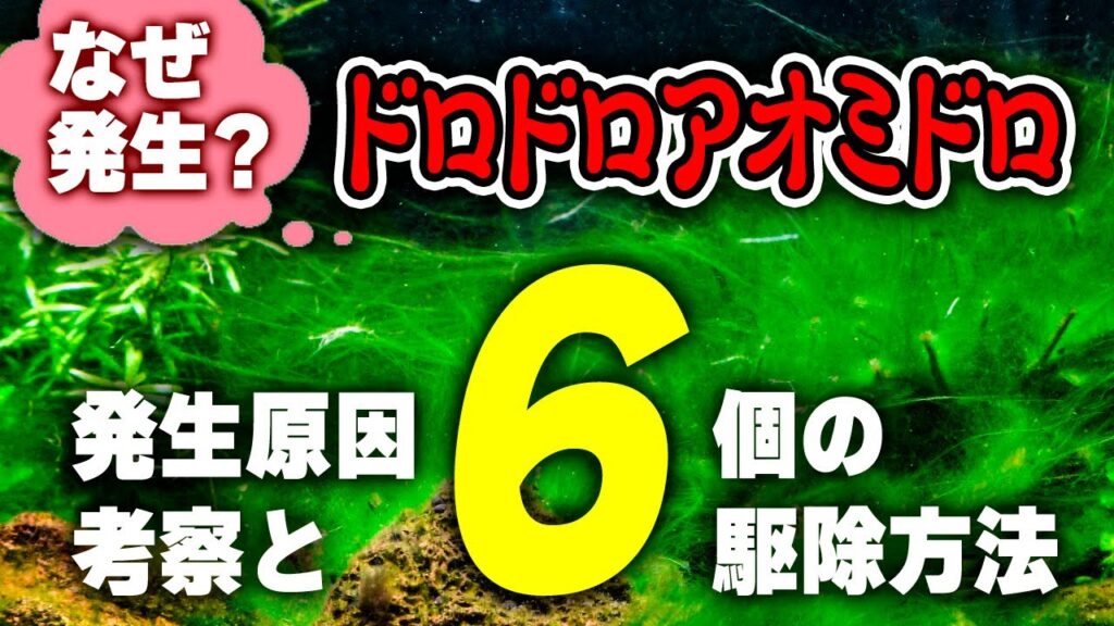 6-