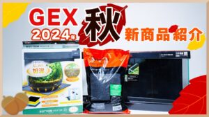 GEX-2024