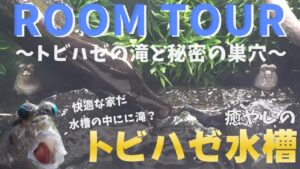 ROOM-TOUR