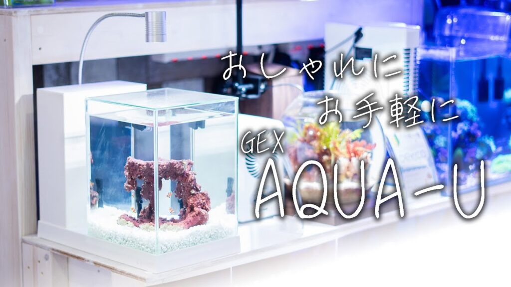 TVGEXAQUA-U