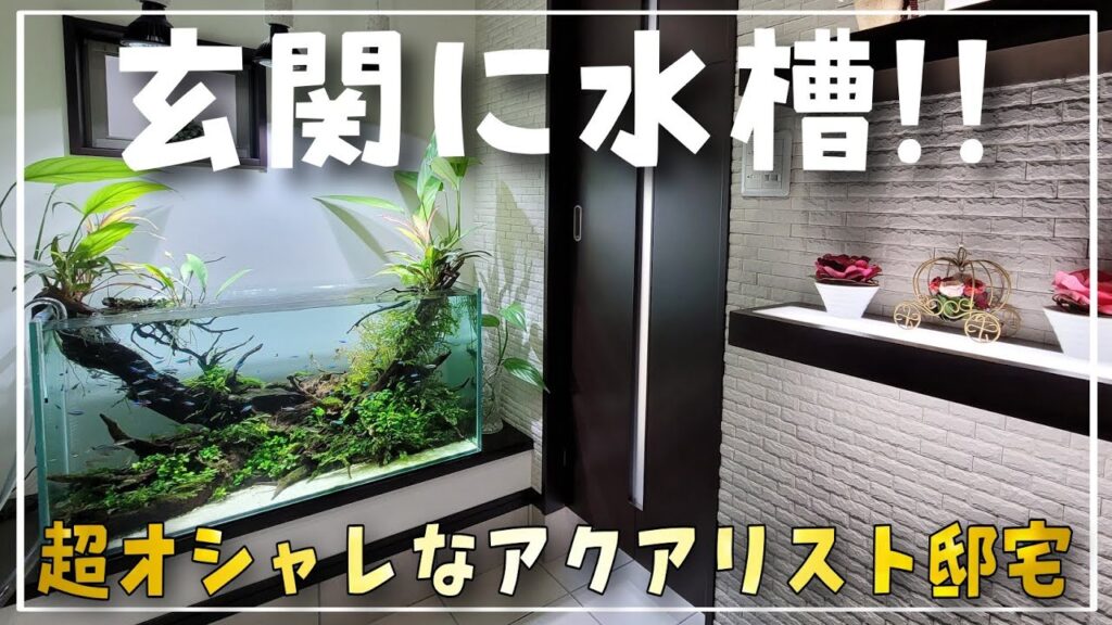 aquarium-2