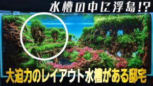 aquarium
