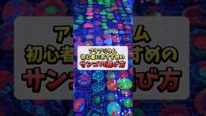 unnamed-file-1
