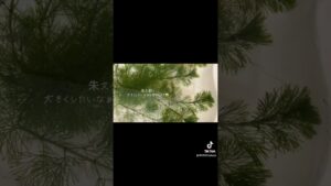 2-