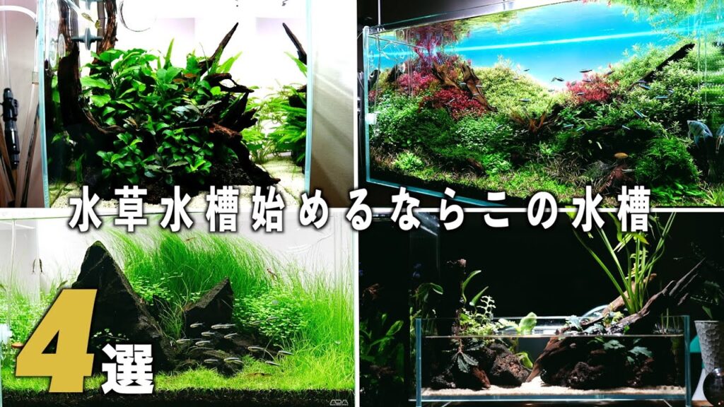 4aquarium-aquascape-