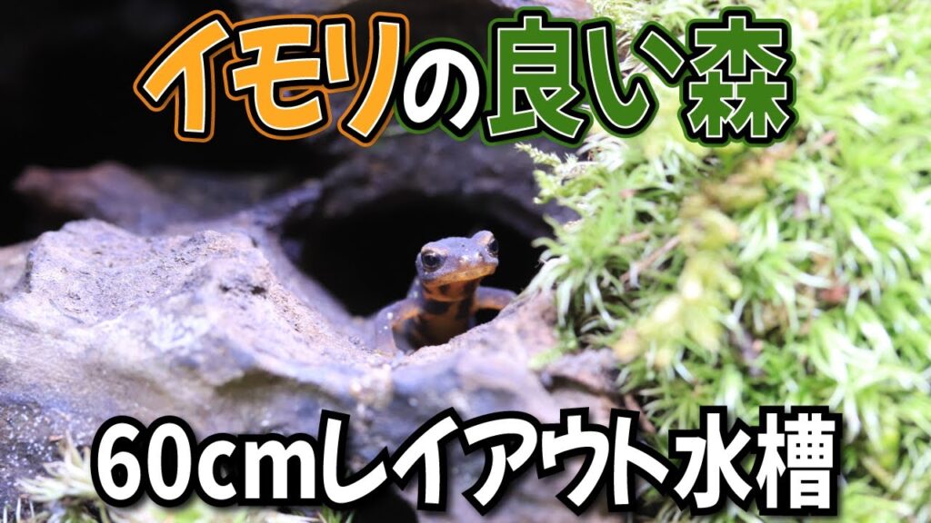 60cmin105