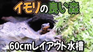 60cmin105
