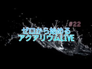 LIVE22