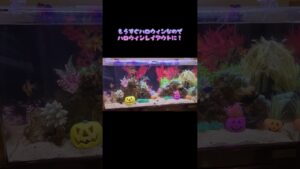 unnamed-file-15
