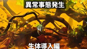 unnamed-file-27