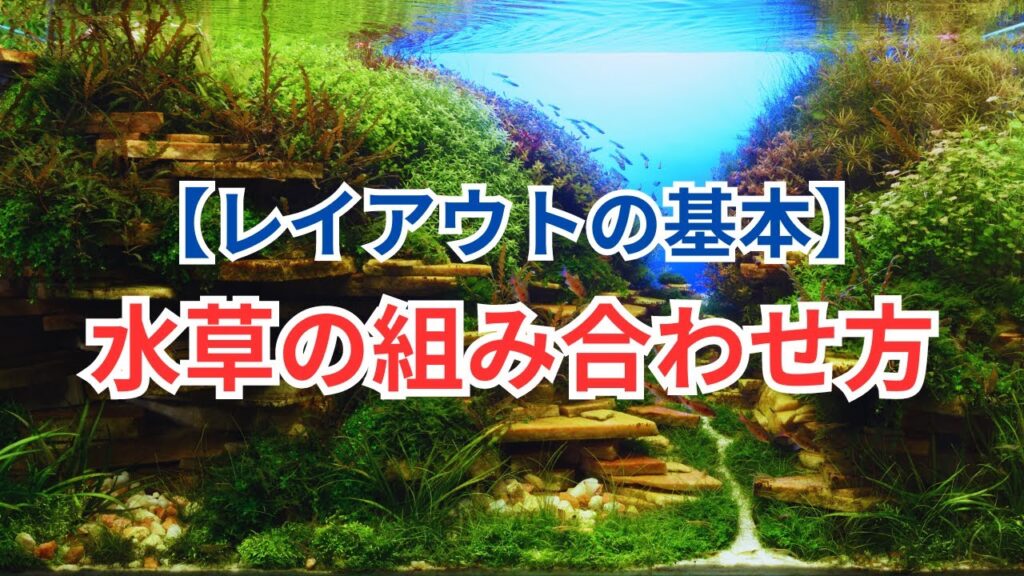 unnamed-file-4
