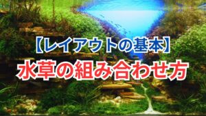 unnamed-file-4