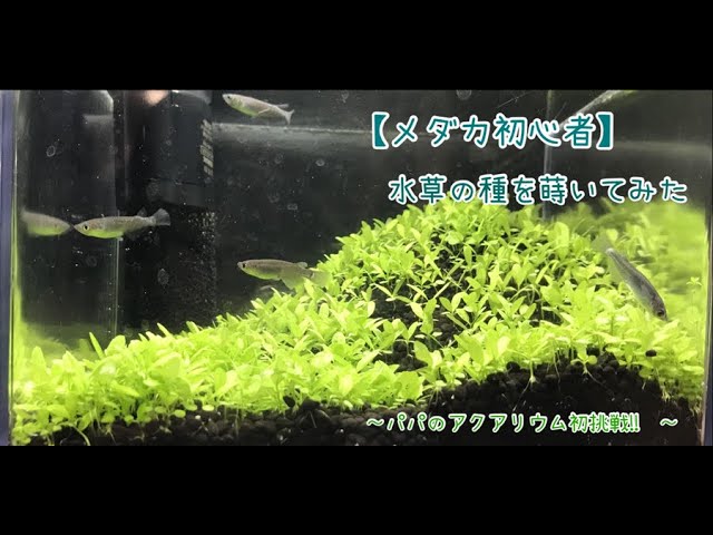 unnamed-file-7