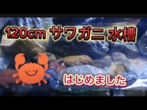 120cm-