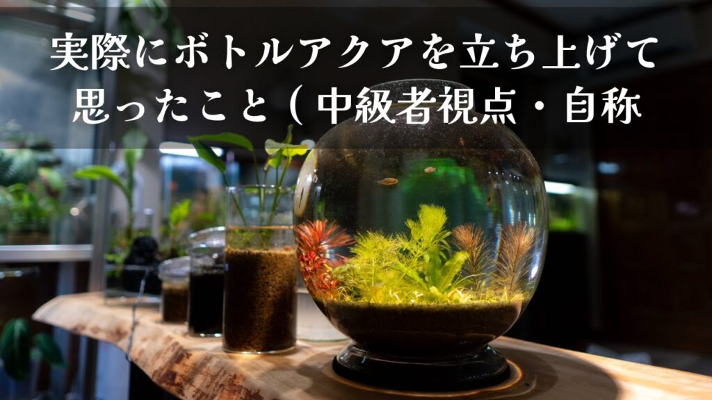 unnamed-file-1