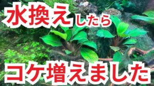 unnamed-file-12