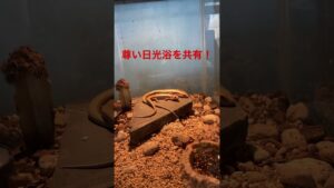 unnamed-file-18