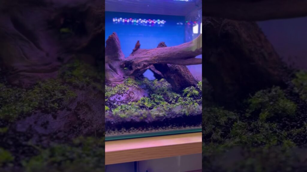 DAY1-
