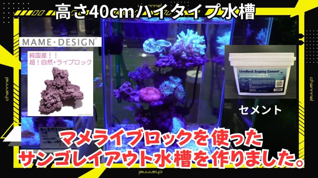 LEDZOOX-