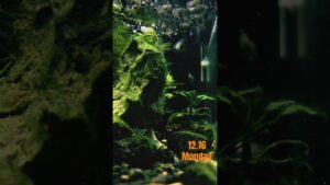aquarium-1-3