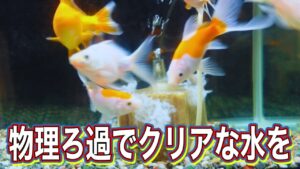 unnamed-file-4