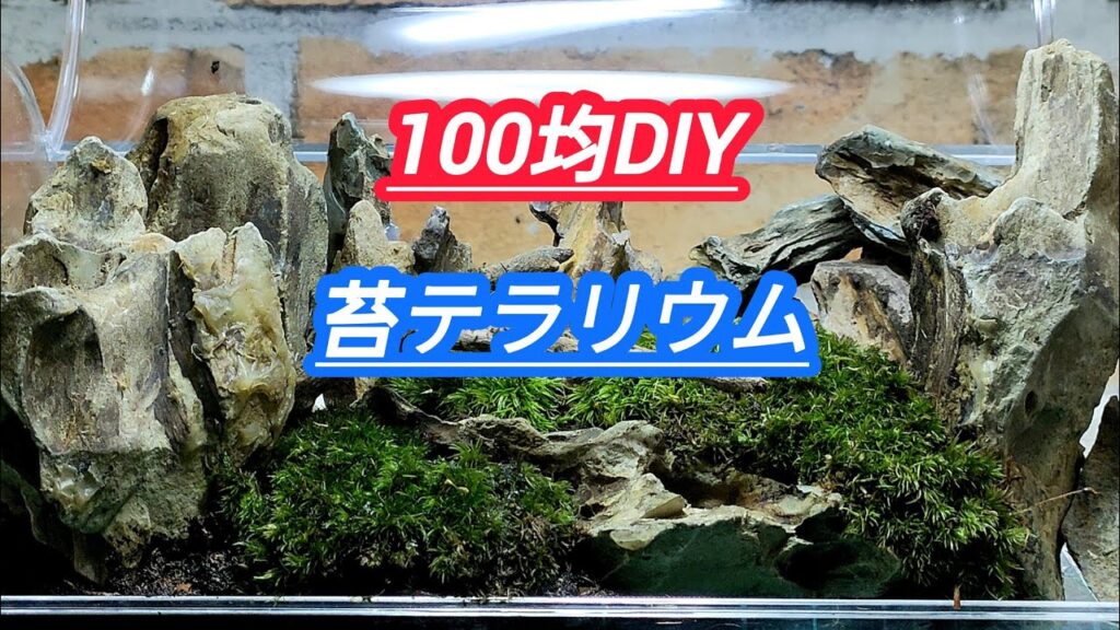 100DIY