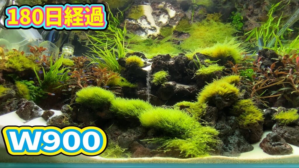 90cm180