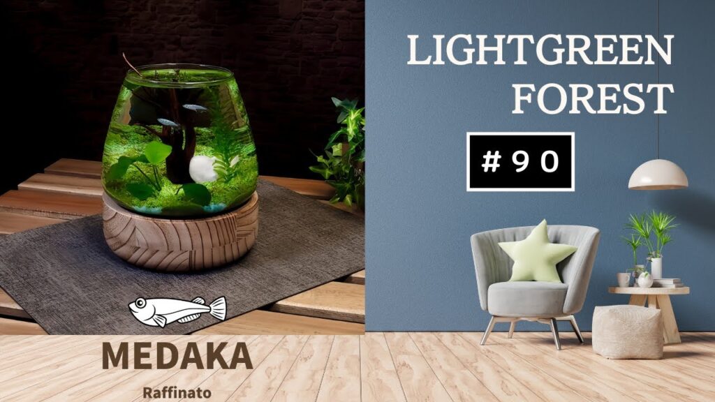 aquarium-50OFF