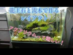 unnamed-file-4