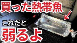 unnamed-file-7