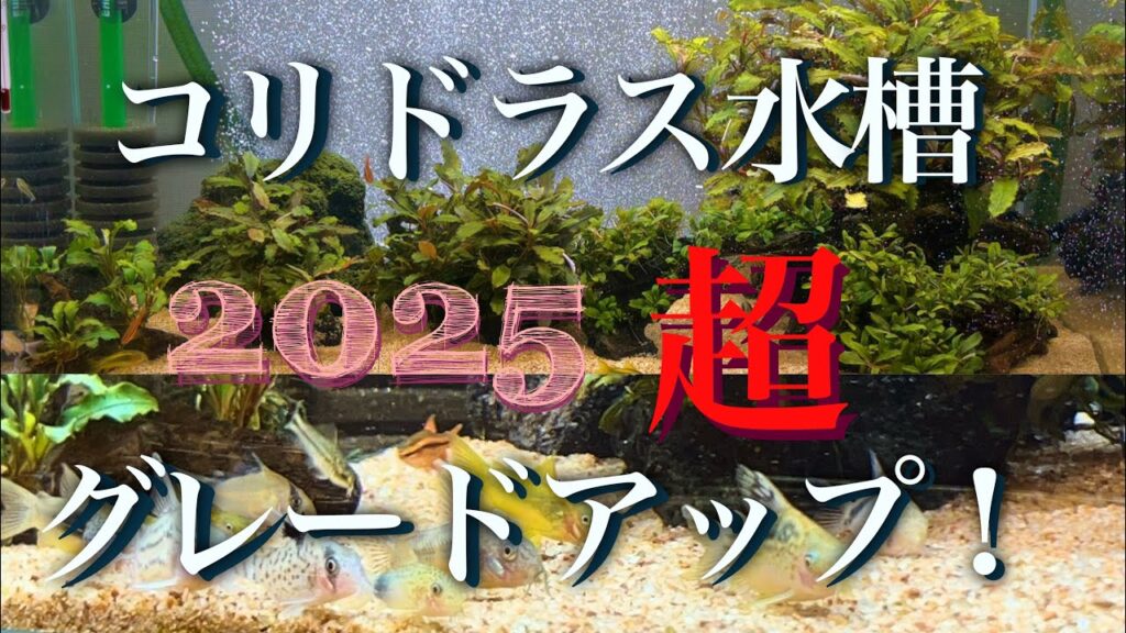 unnamed-file-8