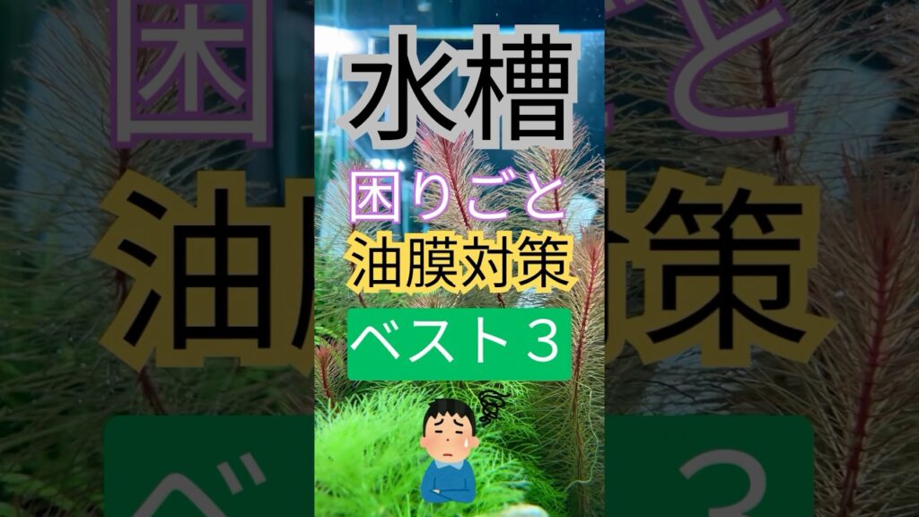 3-shorts-aquarium-