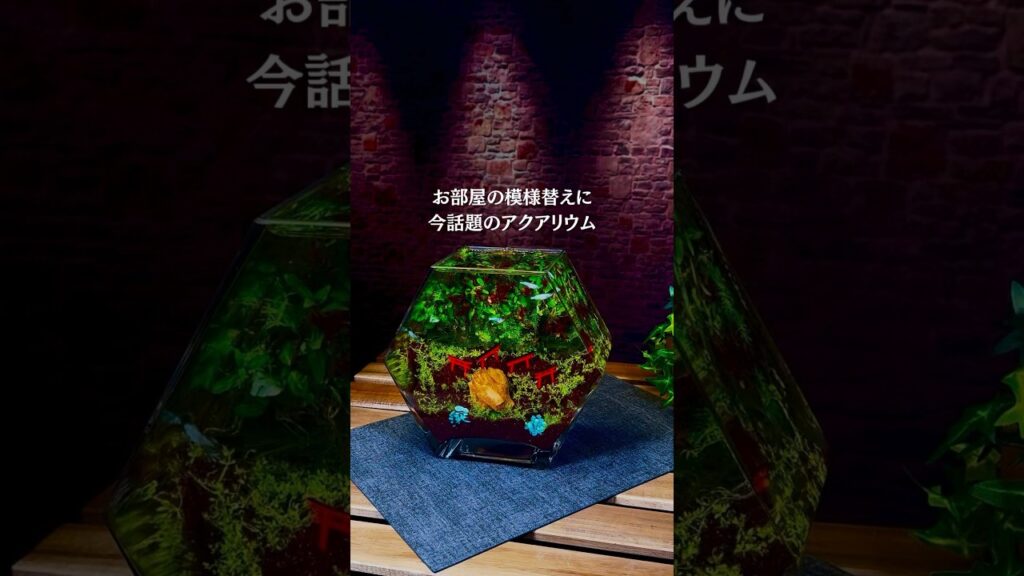 aquarium-1-9