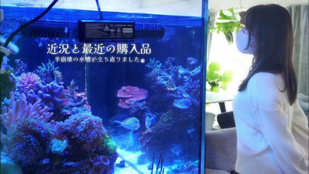 120cm-Marine-aquarium.