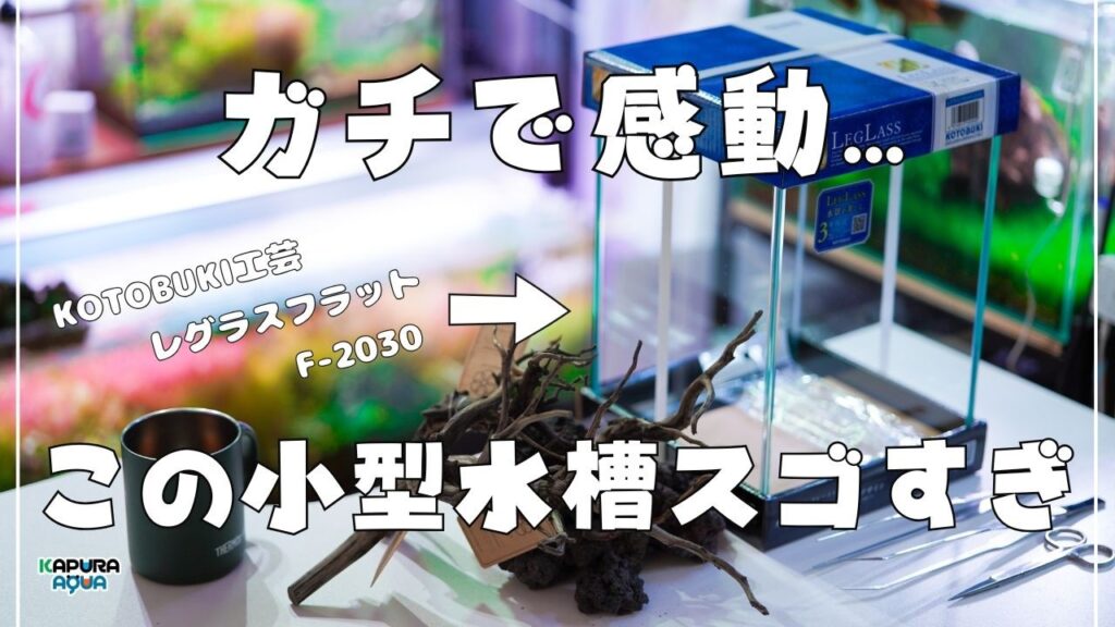 20cmF-2030aquarium-KOTOBUKI