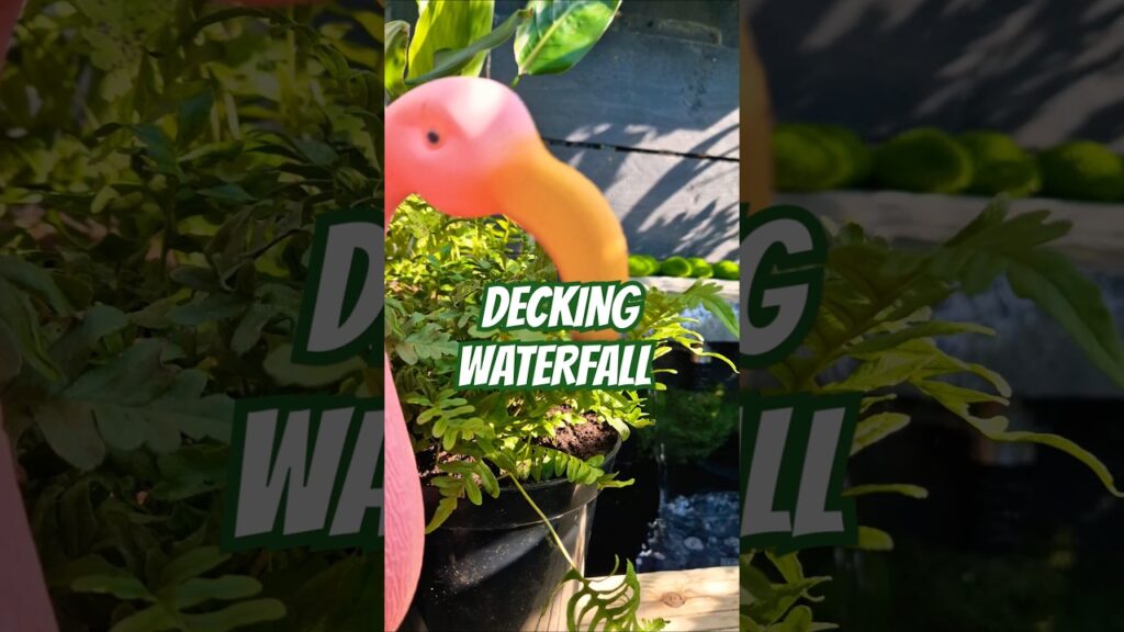I-Created-a-WATERFALL-on-my-Decking-Area-Easy-small-pond-design-tropicalgarden-waterfall