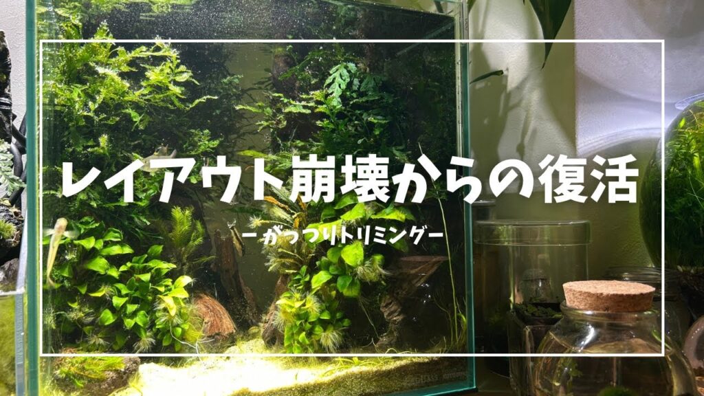 Restoring-a-collapsed-aquarium-layout-021