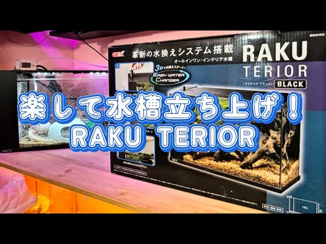 YouTuber48
