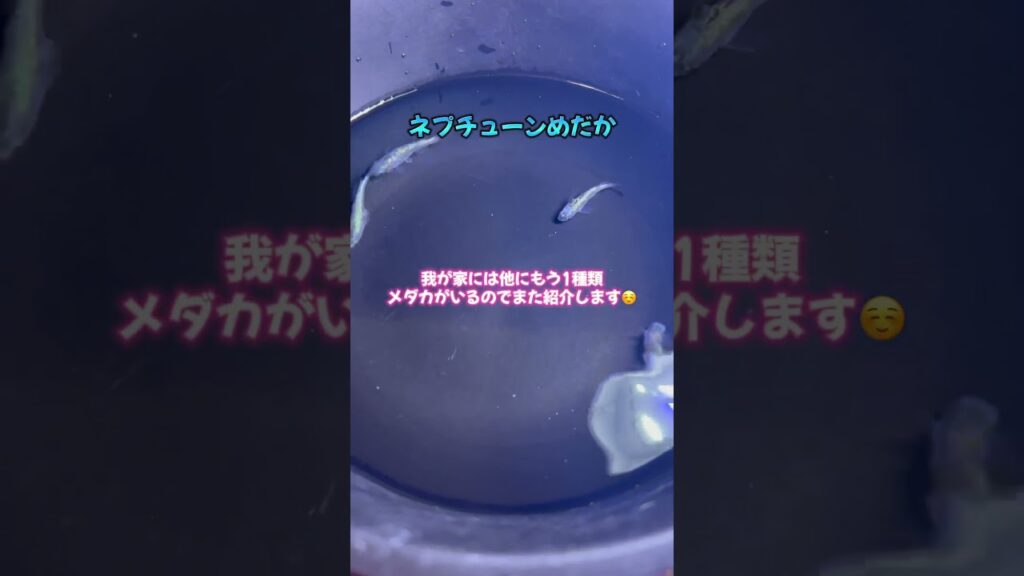 aquarium-1-10