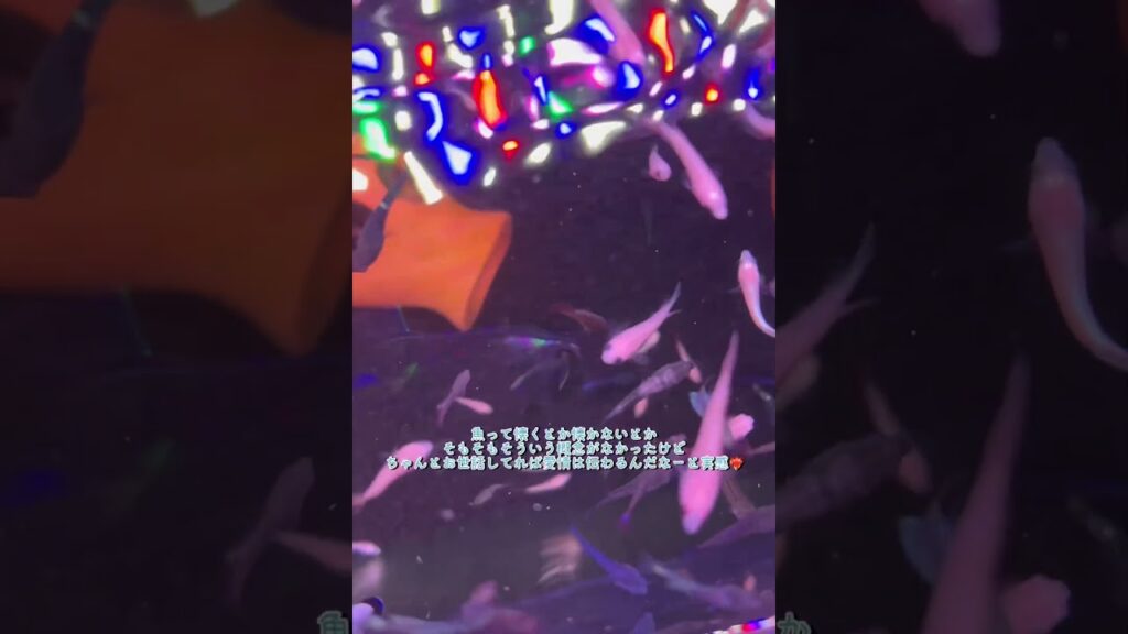 aquarium-1-5