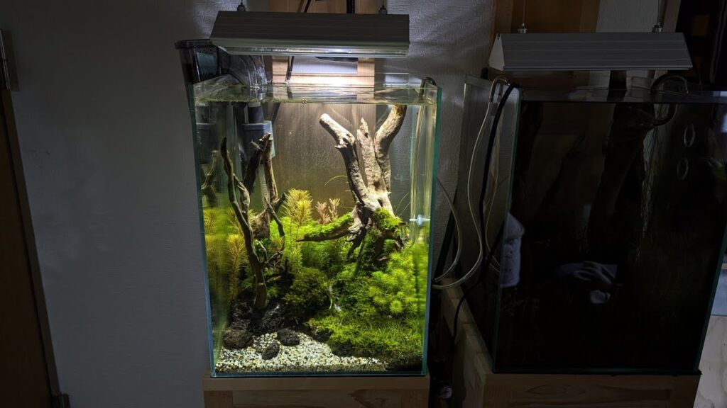aquarium