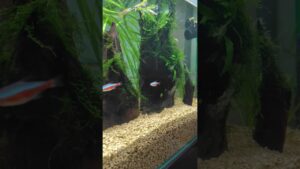 unnamed-file-38