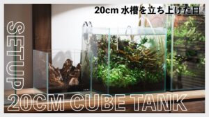 20cm-1