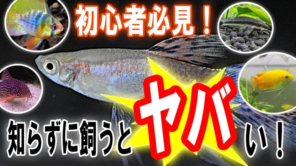 5-