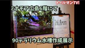9006TV
