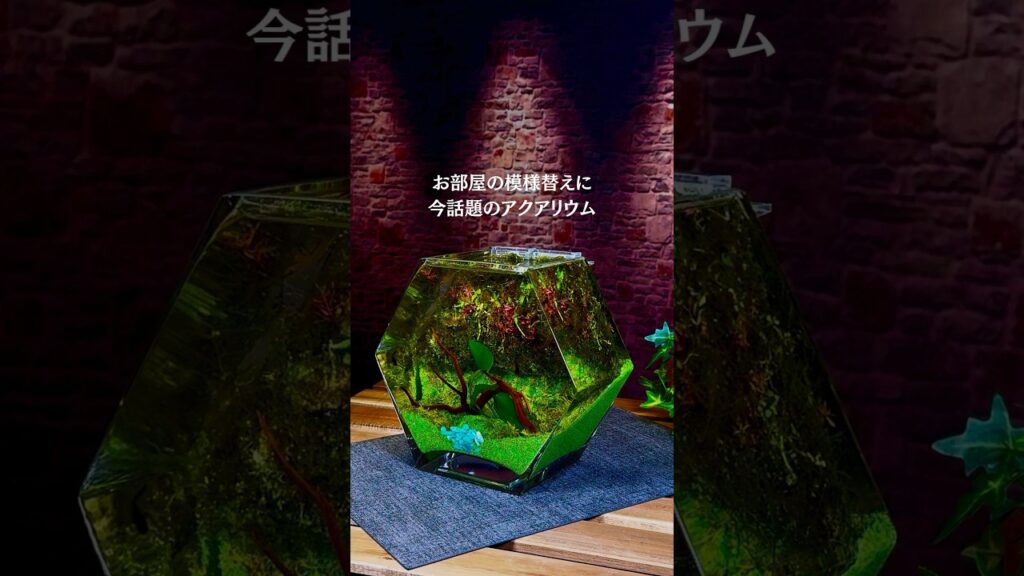aquarium-1-2