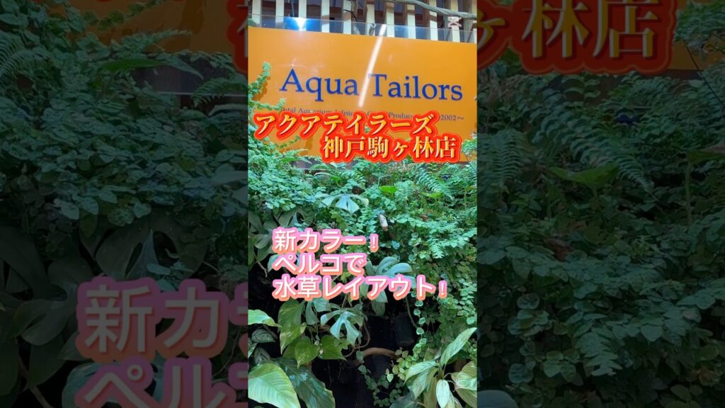 aquatailors-aquarium-