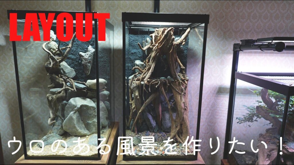 pt