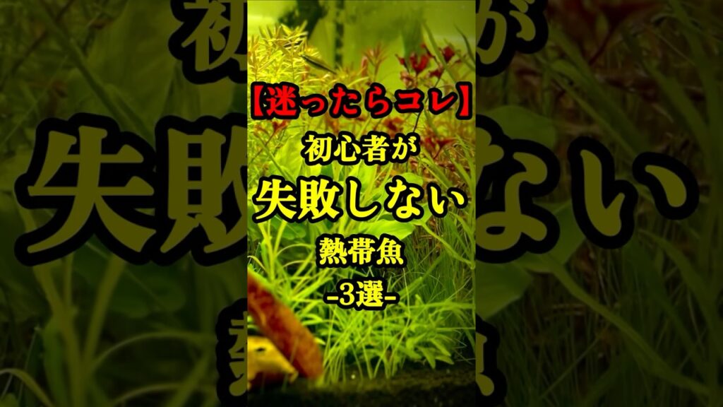 3-